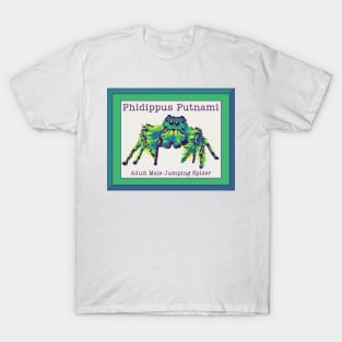 Phidippus Putnami - Jumping Spider T-Shirt